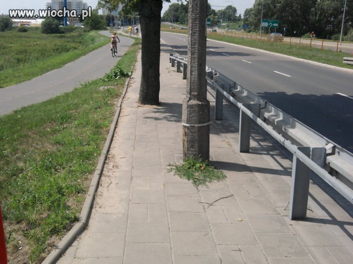 Polskie drogi a raczej chodniki 