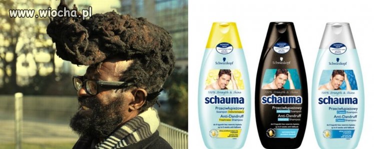 Schauma.