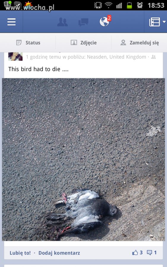 Facebook