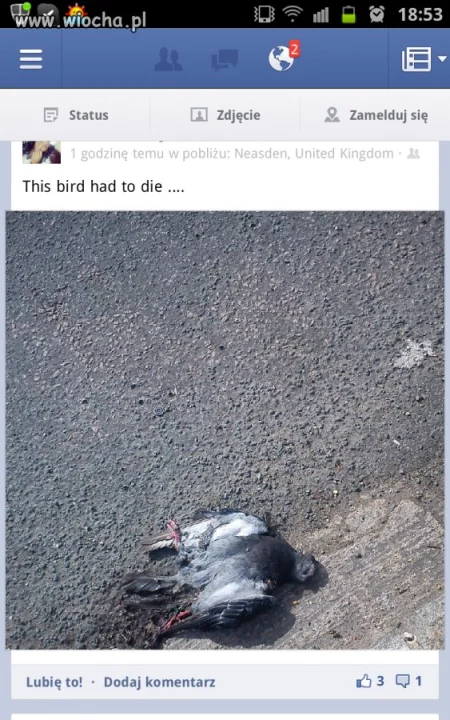 Facebook