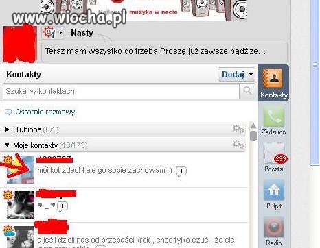 Moj kot zdechł...