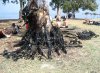 Wejście na plaże z bronią ...