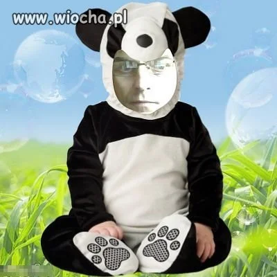 Prawie jak panda
