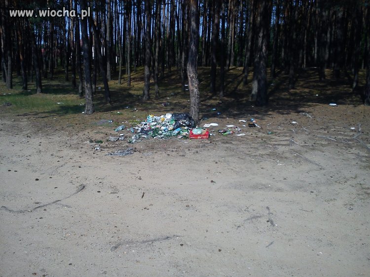 Przyjeżdżają nad rzeczkę z miasta...