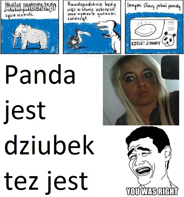 Panda 