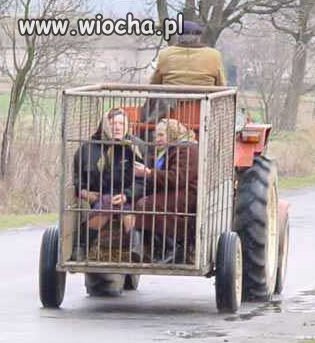 Babcie mogą sobie porozmawiać
