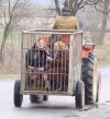 Babcie mogą sobie porozmawiać