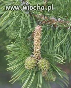 To się nazywa ...