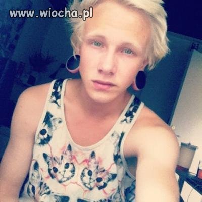 Koty z koszulki paczają