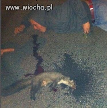 Takie tam z rozjechaną wiewiórką...