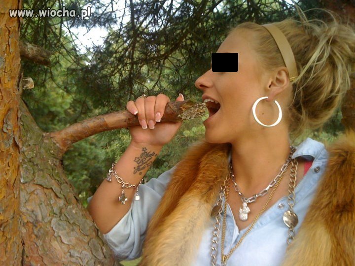 Takie tam w lesie