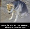 Wiem, że to nie typowa "wiocha", ale nawiązuje do: