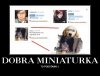 UDANA MINIATURKA