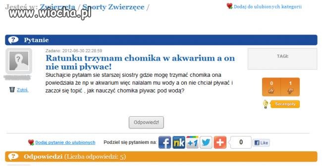 Pływający chomik
