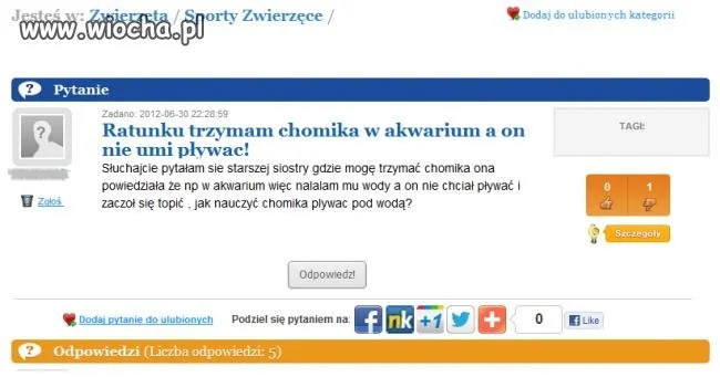 Pływający chomik