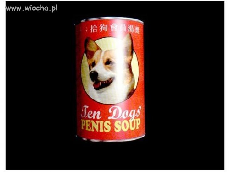 Zupa z Penisów 