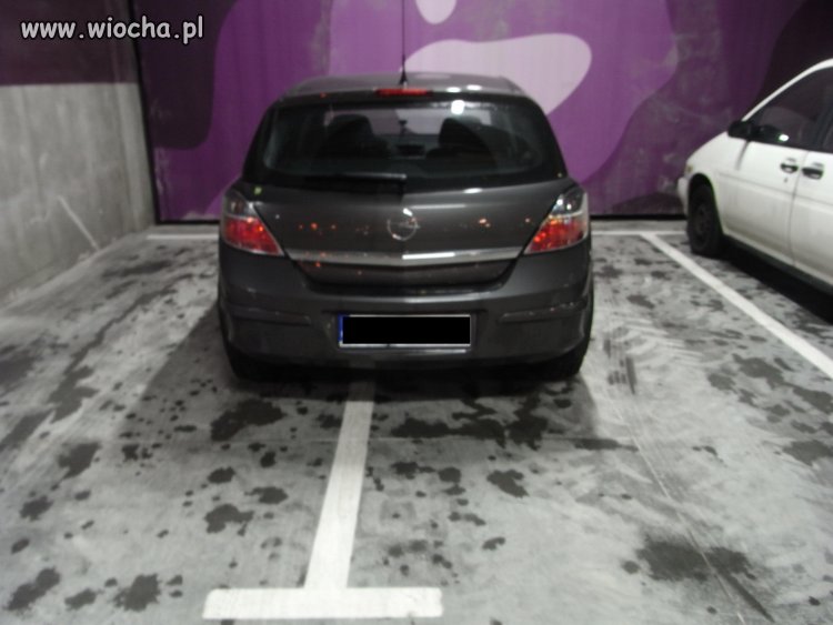 Łoś parkingowy