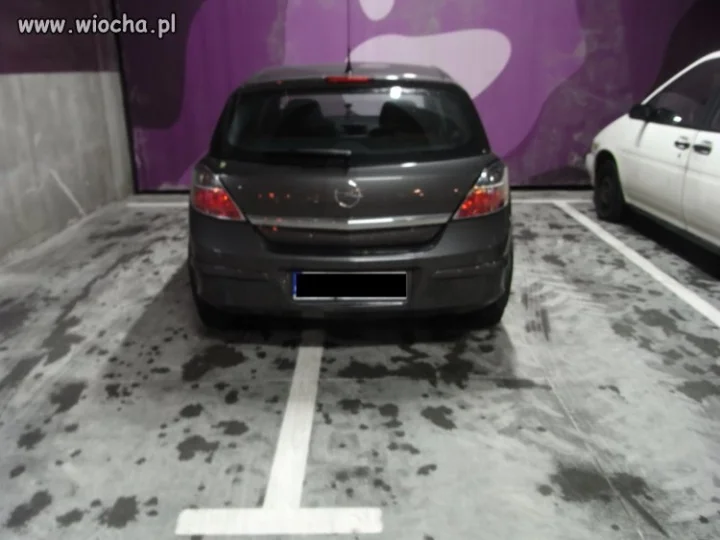 Łoś parkingowy