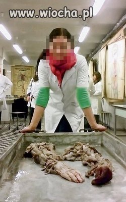 Wiocha w Łodzi...
