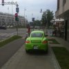 Mam wszystkich w dupie