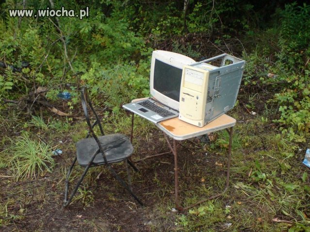 Polak Potrafi
