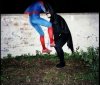 Superbohaterowie
