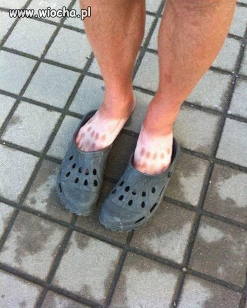 Lato, sezon biedronek w pełni...