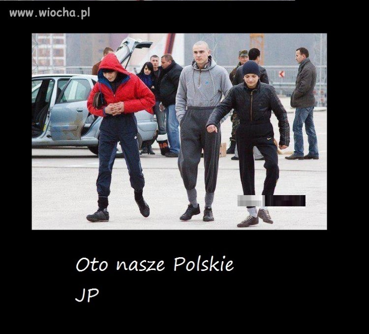 Nasze Polskie JP