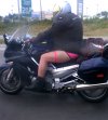 Easy Rider
