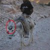 Najnowszy model BMW z napędem 4X4 kopyta??