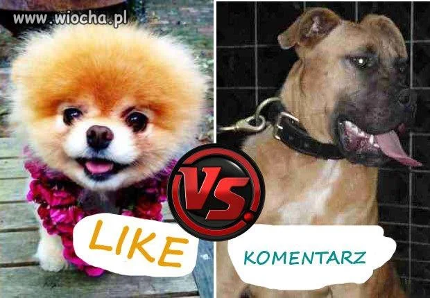 Największa wiocha