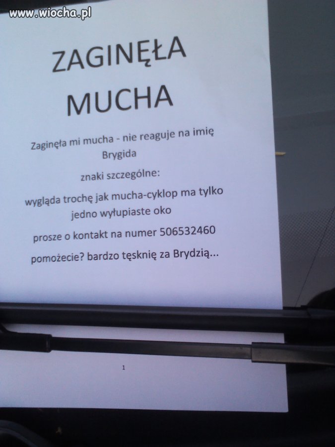 W tych czasach 