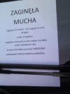 W tych czasach 