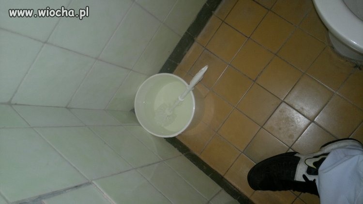 System szczotek WC w szpitalu bródnowskim