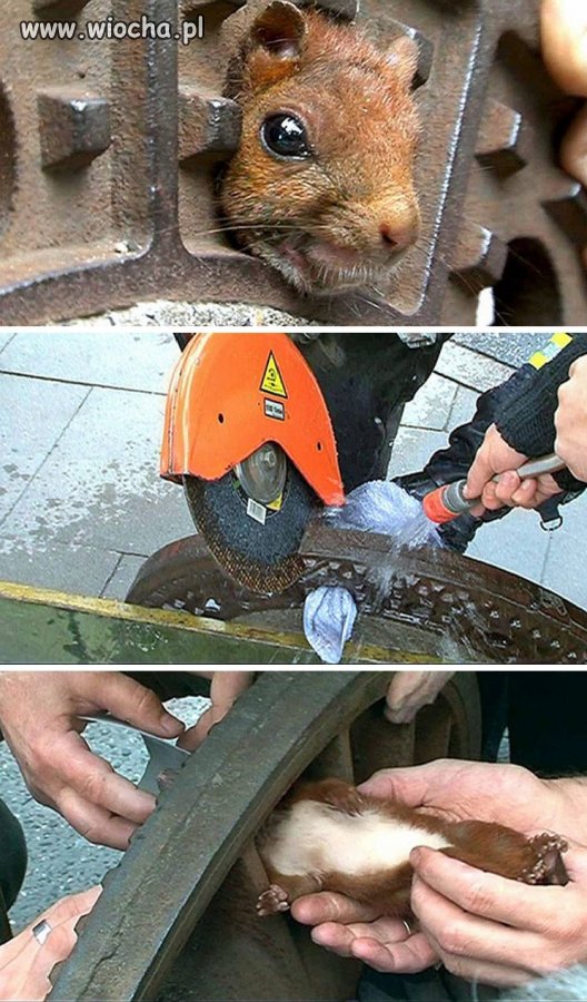 Są ludzie którzy czas poświęcą aby ratować.