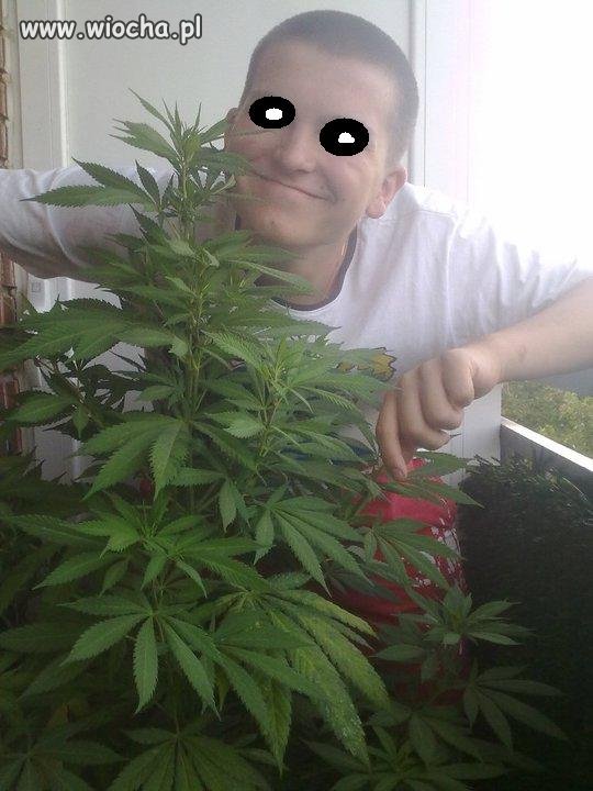 Ja i mój zaje***y krzaczek