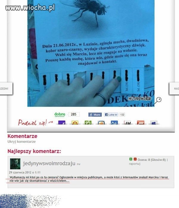 Czy ktoś widział Marcina ??