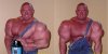 Synthol