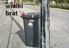Wielki brat