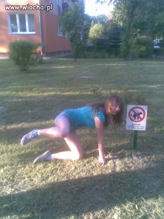 Spacer z pieskiem