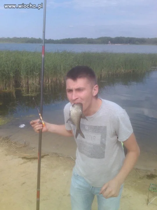 Lubi to co robi...