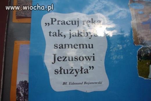 Pytanie brzmi: co autor tekstu miał na myśli?