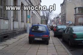 Mistrz parkowania