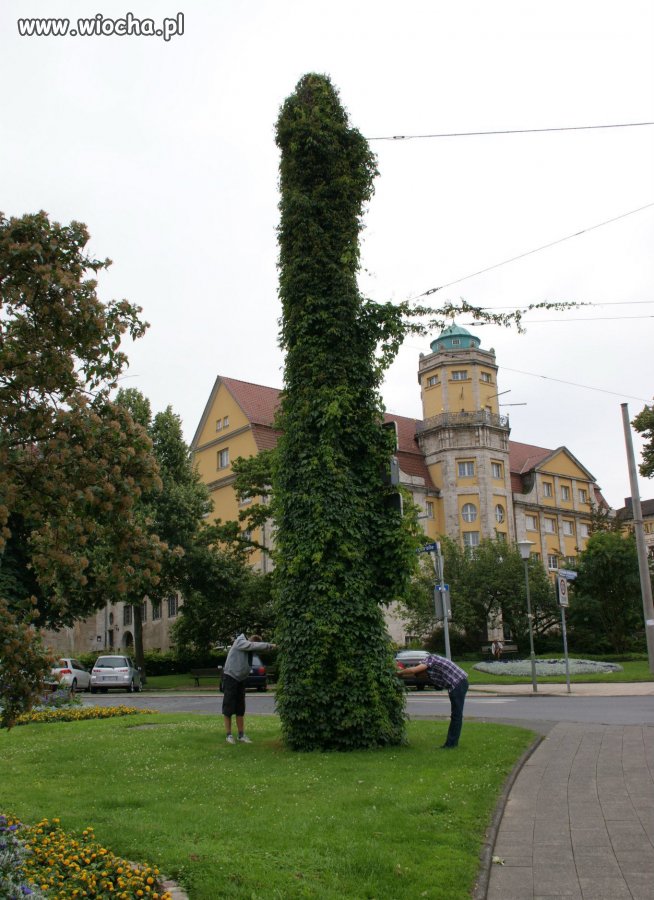 Szkoda słów...