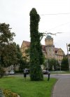 Szkoda słów...