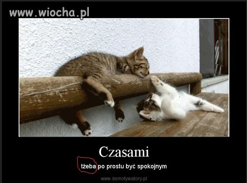 Jak można robić takie błędy ??