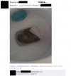 Gimnazjum na facebooku