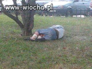 Dobranoc! 