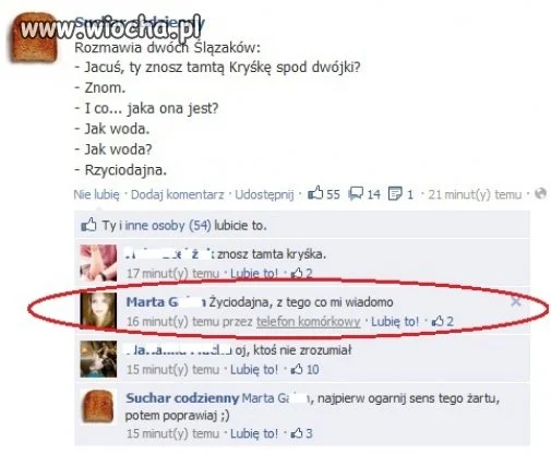 To podstępne Ślązaki...