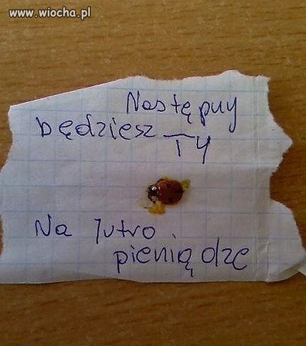 Biedna biedronka